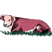 Old English Sheepdog Quotes Old English Sheepdog Quotes