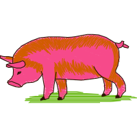 Pig Quotes Pig Quotes