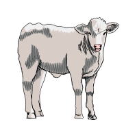 Sheep Quotes Sheep Quotes