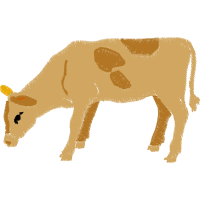 Sheep Quotes Sheep Quotes