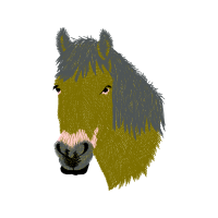 Sheltie Quotes Sheltie Quotes