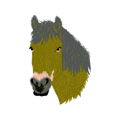 Sheltie Quotes Sheltie Quotes