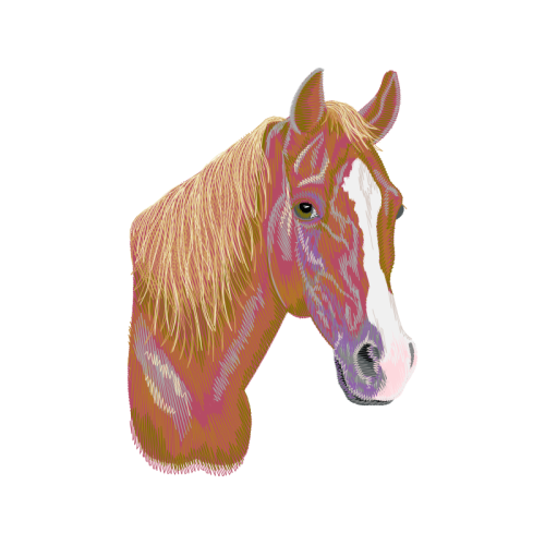 Shetland Pony Quotes Shetland Pony Quotes