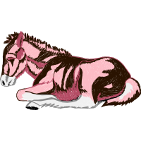 Shetland Pony Quotes Shetland Pony Quotes