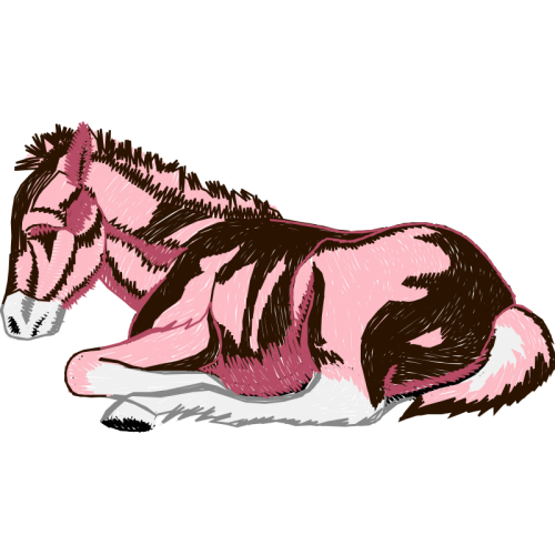 Shetland Pony Quotes Shetland Pony Quotes