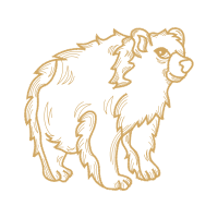 Sketch Quotes Sketch Quotes