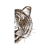 Sketch Quotes Sketch Quotes