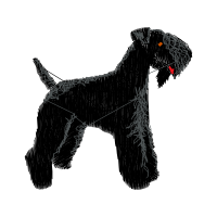 Standard Schnauzer Quotes