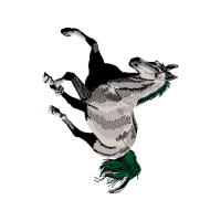 Three Toed Sloth Quotes Three Toed Sloth Quotes