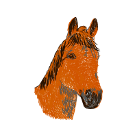 Tiger Quotes Tiger Quotes