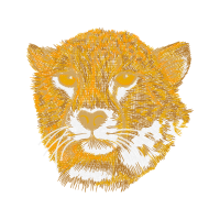 Tiger Quotes Tiger Quotes