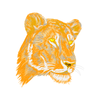 Tiger Quotes Tiger Quotes