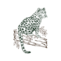 Tiger Quotes Tiger Quotes