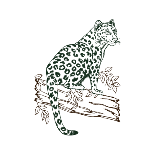 Tiger Quotes Tiger Quotes