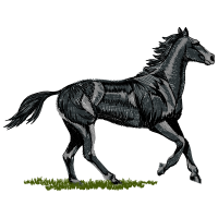 Towel Quotes Towel Quotes