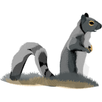 Visual Arts Quotes Visual Arts Quotes