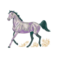 Visual Arts Quotes Visual Arts Quotes