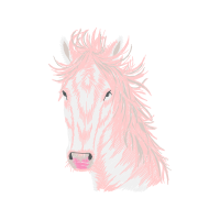 Visual Arts Quotes Visual Arts Quotes