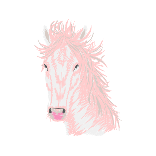 Visual Arts Quotes Visual Arts Quotes