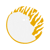 Visual Arts Quotes Visual Arts Quotes