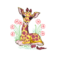 Visual Arts Quotes Visual Arts Quotes