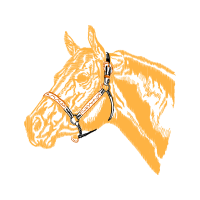 Welsh Terrier Quotes Welsh Terrier Quotes