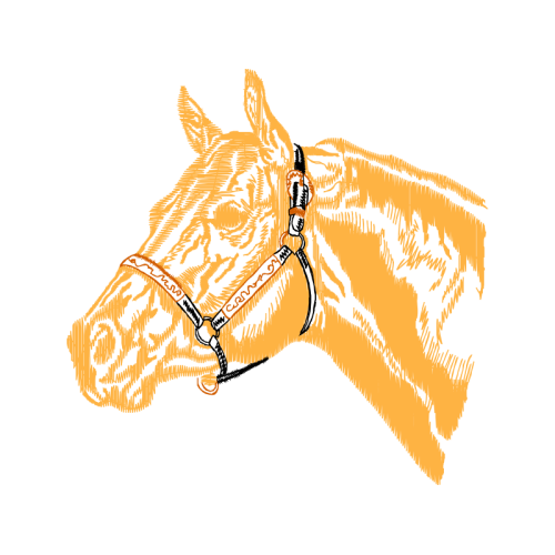 Welsh Terrier Quotes Welsh Terrier Quotes