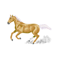 Whippet Quotes Whippet Quotes