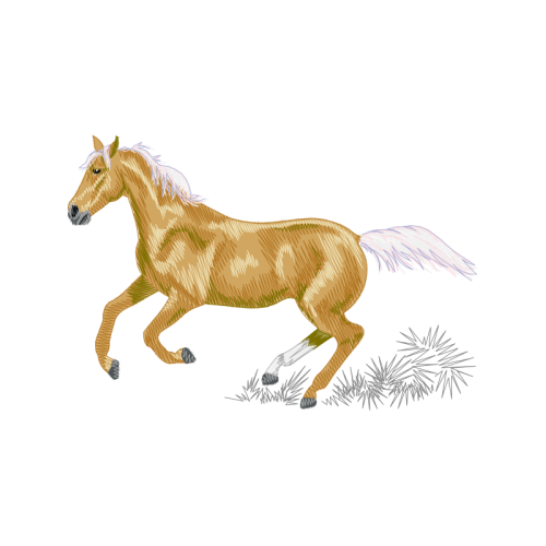 Whippet Quotes Whippet Quotes