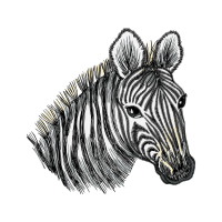 Wild Boar Quotes Wild Boar Quotes