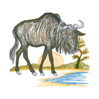 Wildebeest Quotes Wildebeest Quotes