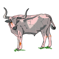 Zebu Quotes Zebu Quotes