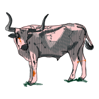 Zebu Quotes Zebu Quotes