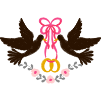 Accipitriformes Quotes