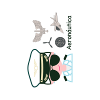 Aircraft Quotes Aircraft Quotes