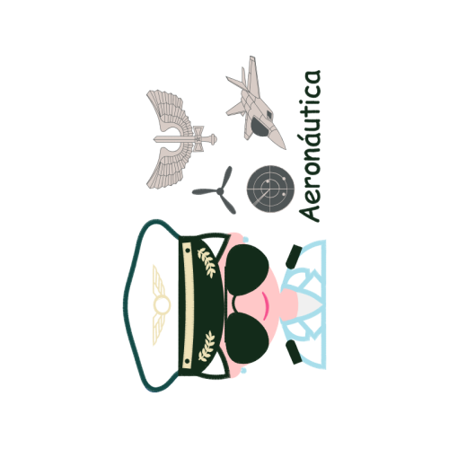 Aircraft Quotes Aircraft Quotes