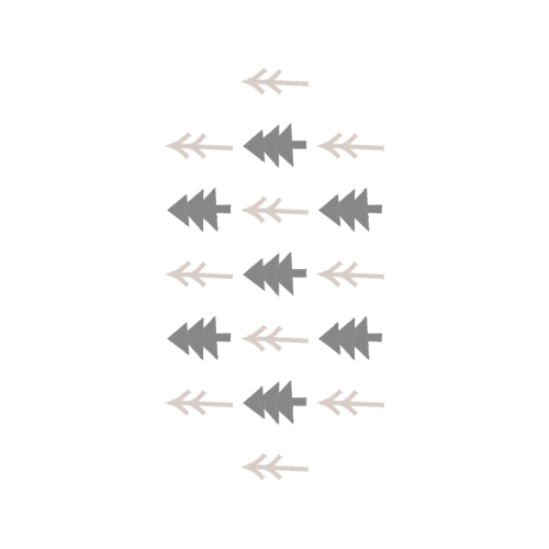 Aircraft Quotes Aircraft Quotes