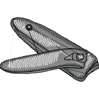 Aircraft Quotes Aircraft Quotes