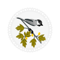 American Sparrows Quotes American Sparrows Quotes