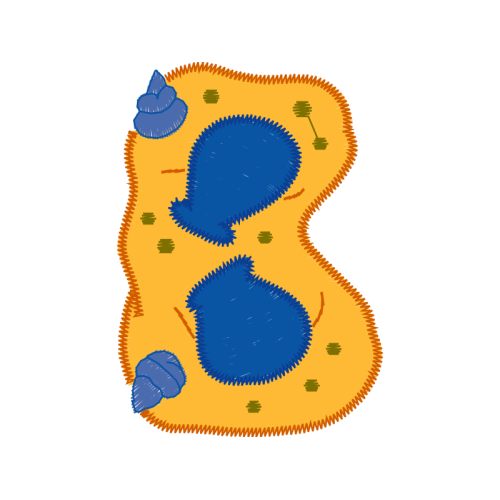 Art Quotes Art Quotes