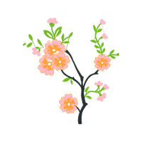 Art Quotes Art Quotes