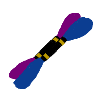 Art Quotes Art Quotes