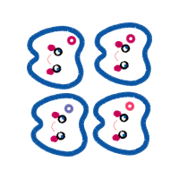 Body Piercing Jewelry Quotes Body Piercing Jewelry Quotes