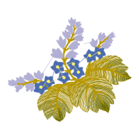 Caesalpinia Quotes Caesalpinia Quotes