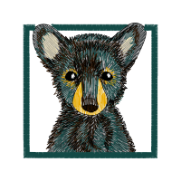 Carnivore Quotes Carnivore Quotes