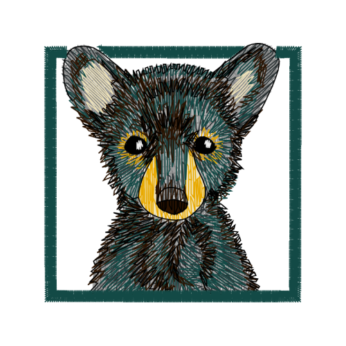 Carnivore Quotes Carnivore Quotes