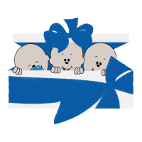 Cartoon Quotes Cartoon Quotes