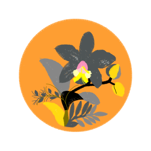 Cattleya Orchids Quotes Cattleya Orchids Quotes