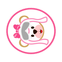 Certified Public Accountant Quotes