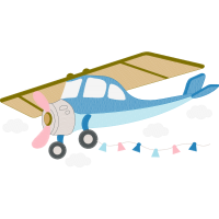 Cessna 310 Quotes Cessna 310 Quotes